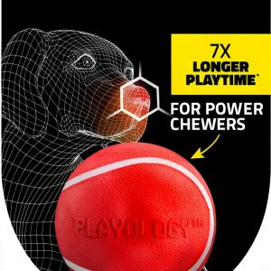 Playology Squeaky Dog Ball for Medium Breeds-0