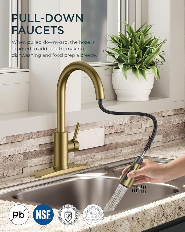 FORIOUS Kitchen Faucets with Pull Down Sprayer-1