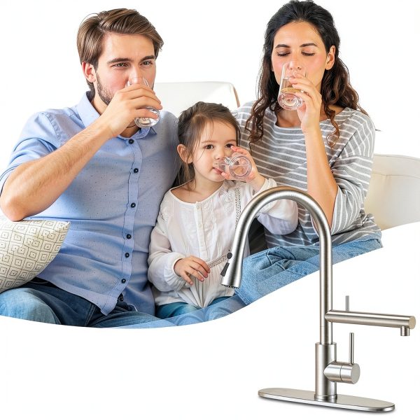 FEELSO Kitchen Faucet with Filter Pull Down Sprayer Brushed-6