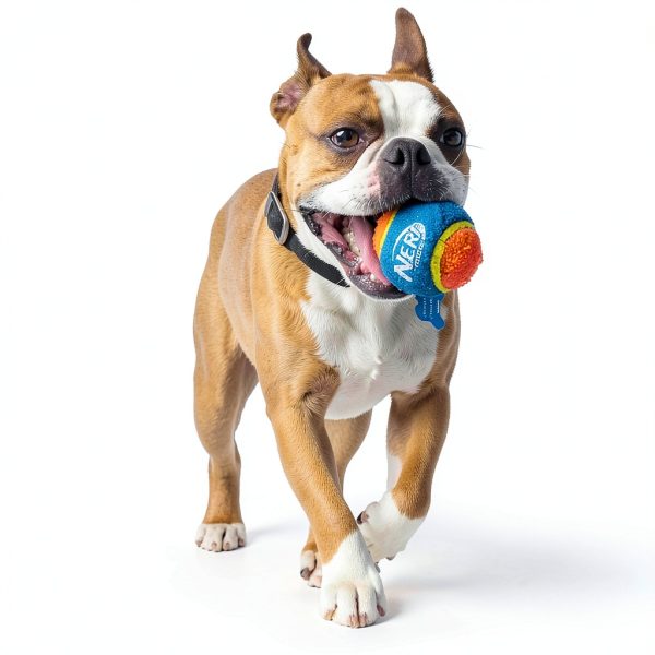 Nerf Dog Blaster Compact Tennis Ball Toy 16 Inch Durable-2