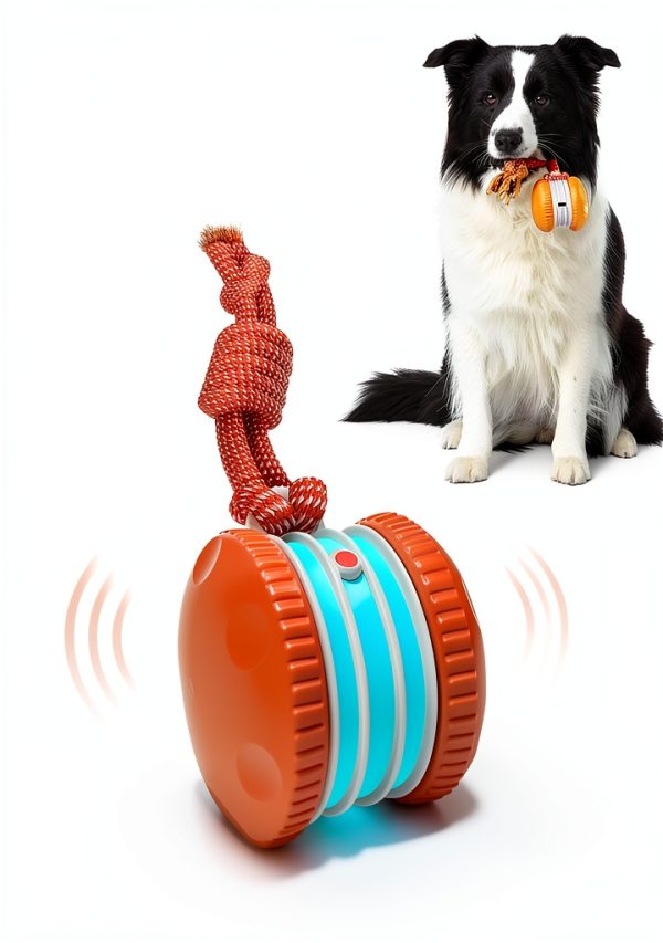 QGI Interactive Dog Ball H01 Irregular Rolling Toy with Rope-0