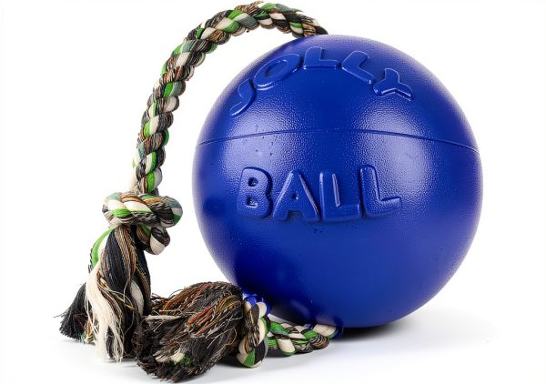 Jolly Pet Romp-n-Roll Dog Ball Non-Deflating Floatable Medium Size-3