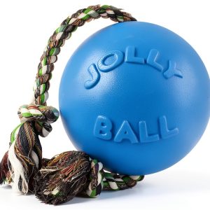 Jolly Pet Romp-n-Roll Dog Ball Non-Deflating Floatable Medium Size-0