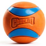 Chuckit! Ultra Ball Dog Toy – Ultra Rubber, 4 Inch Diameter, XXL Size-0