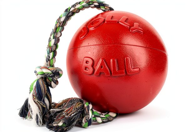 Jolly Pet Romp-n-Roll Dog Ball Non-Deflating Floatable Medium Size-1