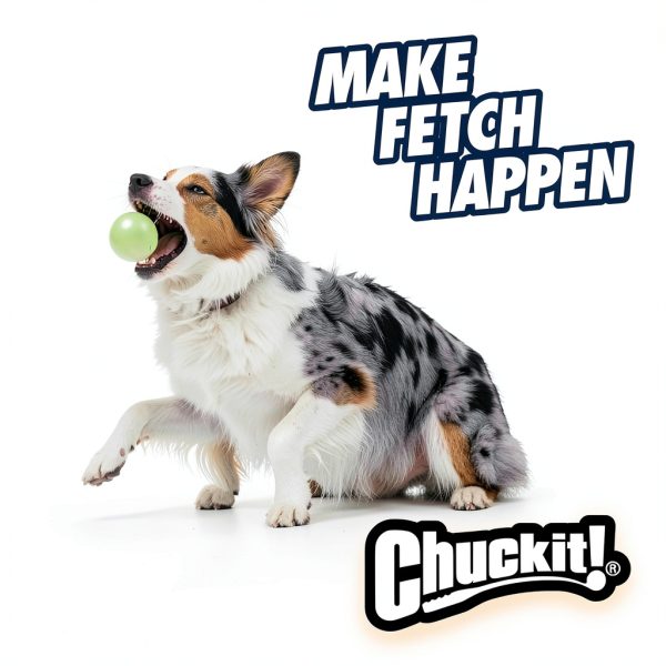 Chuckit! Glow in the Dark Dog Ball – 2.5 inch, Medium Launcher-2