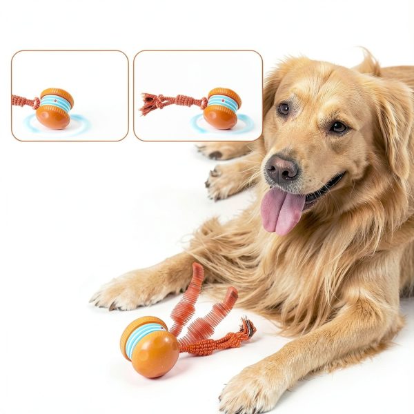 QGI Interactive Dog Ball H01 Irregular Rolling Toy with Rope-3