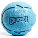 Chuckit! Rebounce High Bounce Dog Ball Medium 2.5in Durable Rubber-0