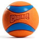 Chuckit Ultra Ball XL Squeaker Durable Rubber Dog Toy for Large Breeds-0