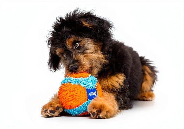 Canine Hardware Indoor Dog Ball Orange Blue Fumbler 1 Pack-1