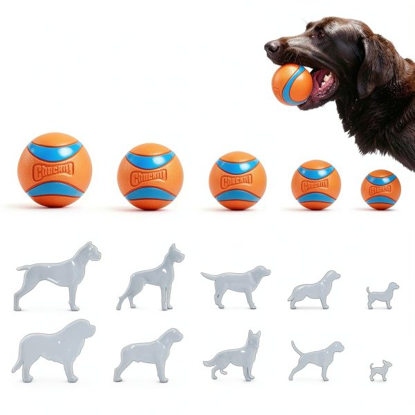 Chuckit Ultra Ball XL Squeaker Durable Rubber Dog Toy for Large Breeds-5